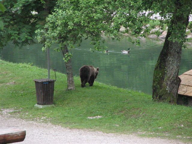 Nationalpark Risnjak 16